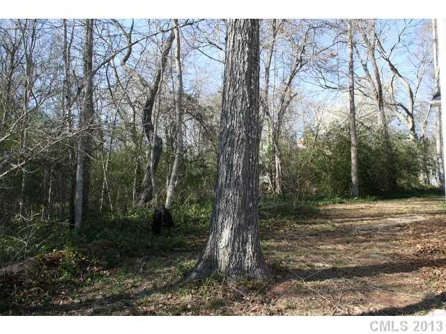 189 Rowells Road Catawba, SC 29704 - Photo 3 of 14