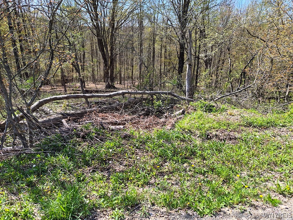 Vl Windsor Road Salamanca, NY 14779 - Photo 12 of 14