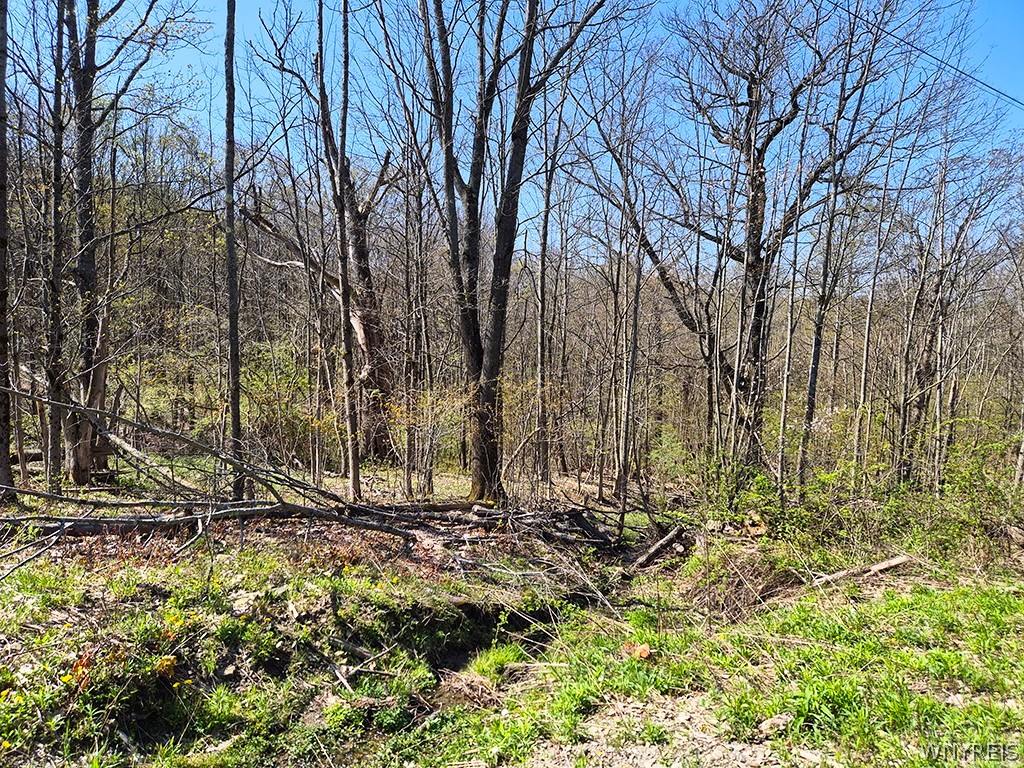 Vl Windsor Road Salamanca, NY 14779 - Photo 3 of 14