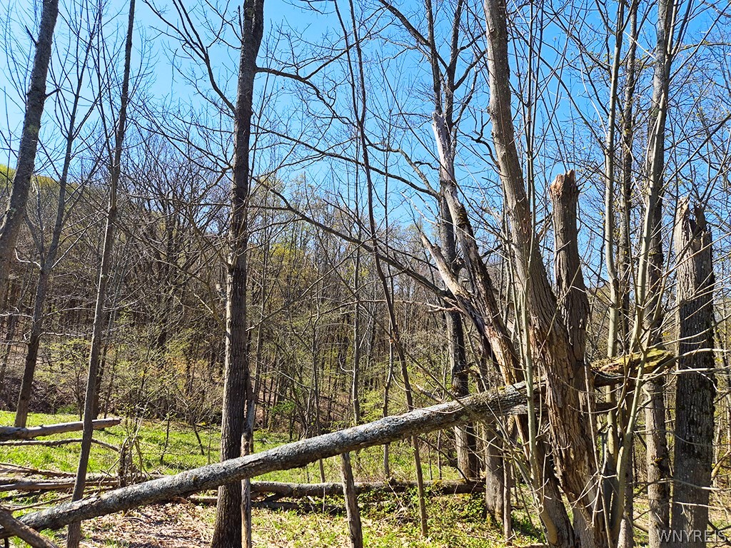Vl Windsor Road Salamanca, NY 14779 - Photo 4 of 14