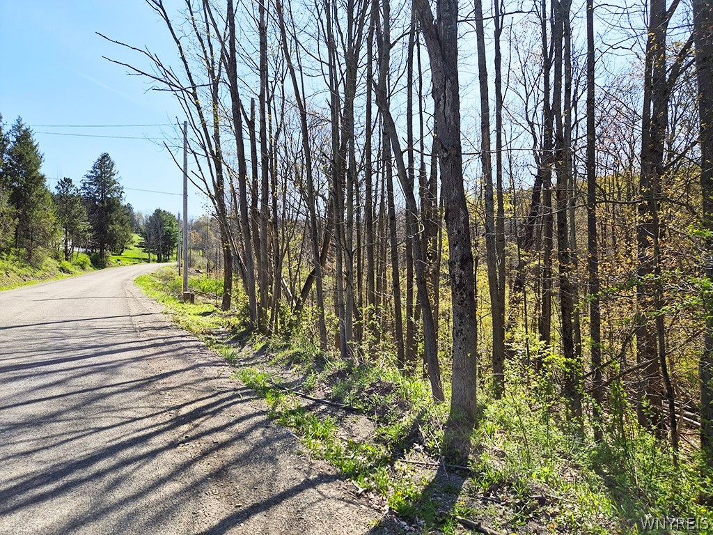 Vl Windsor Road Salamanca, NY 14779 - Photo 8 of 14