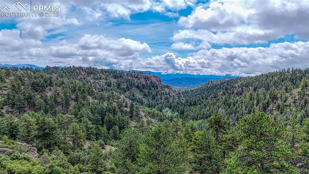 62 Cheyenne Road Florissant, CO 80816 - Photo 34 of 50
