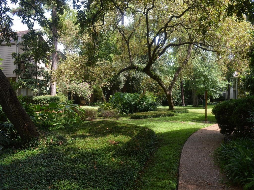 2100 Tanglewilde Street, Unit 596 Houston, TX 77063 - Photo 25 of 32 Complex has beautiful courtyards throughout
