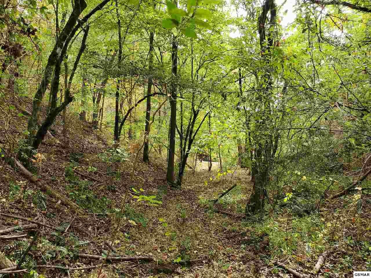 0 Shell Mountain Road Sevierville, TN 37876 - Photo 20 of 35
