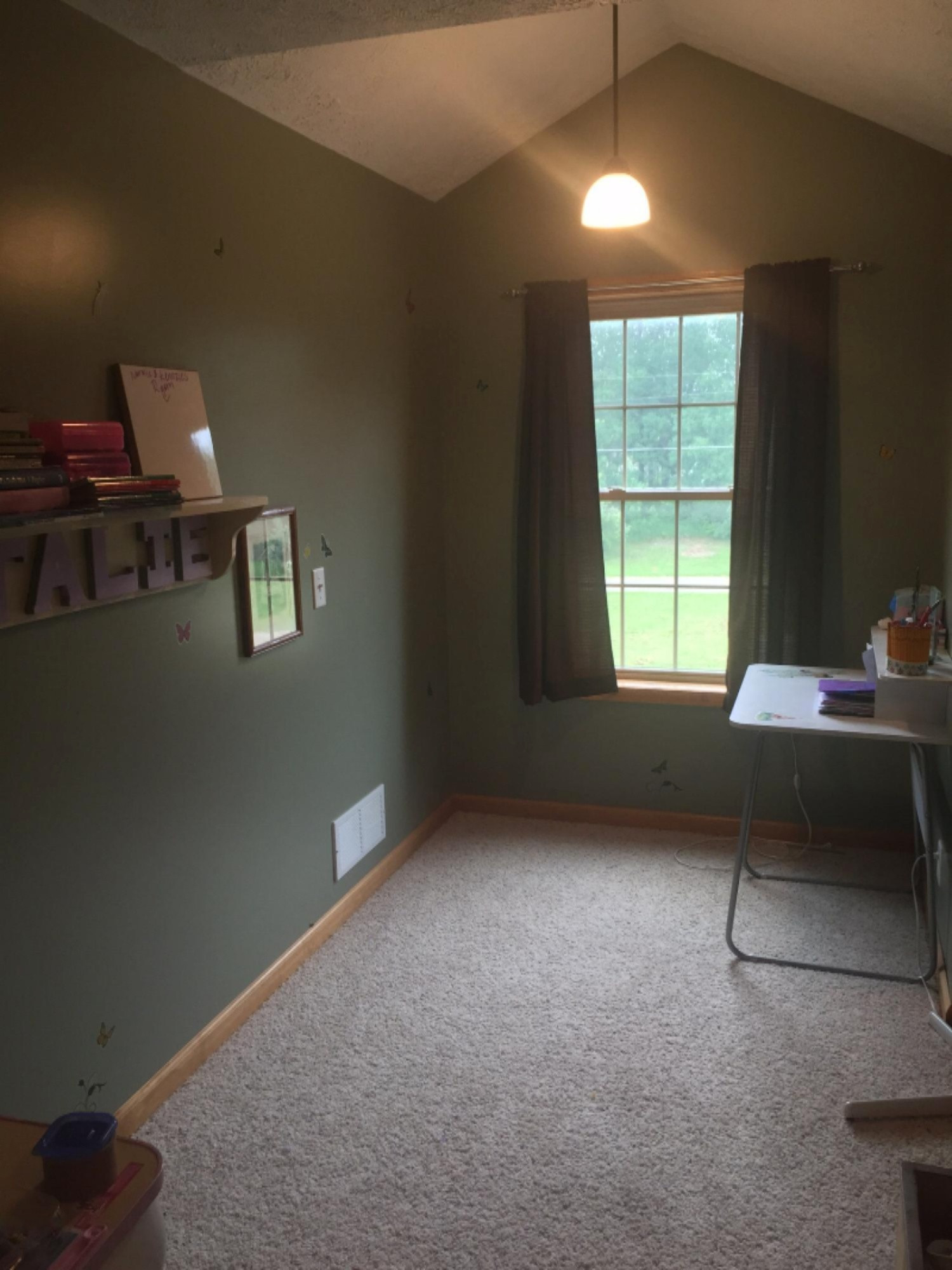 5270 Darby Road Saranac, MI 48881 - Photo 45 of 66 image