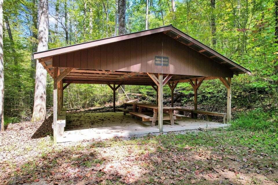 230 Big Towee Road Reliance, TN 37369 - Photo 25 of 32 Towee Rd 8