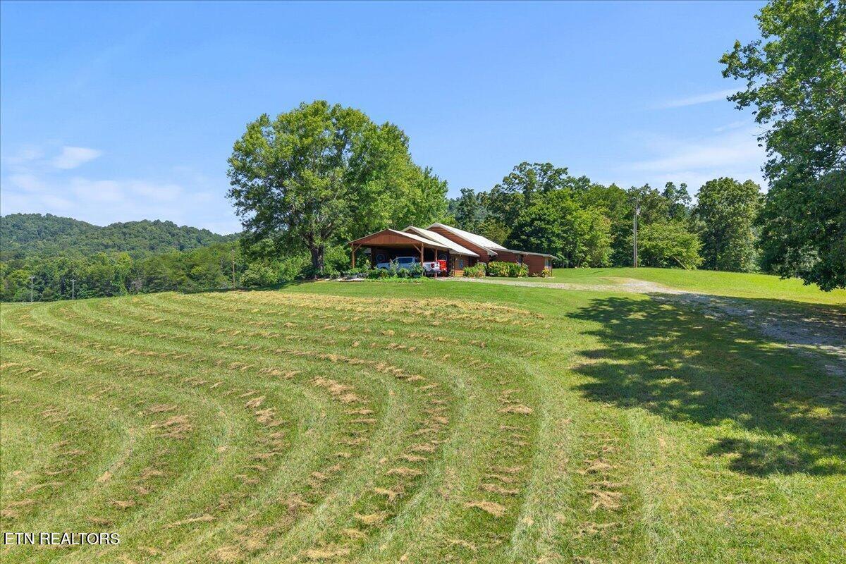 910 Reagan Valley Road Tellico Plains, TN 37385 - Photo 48 of 49 48