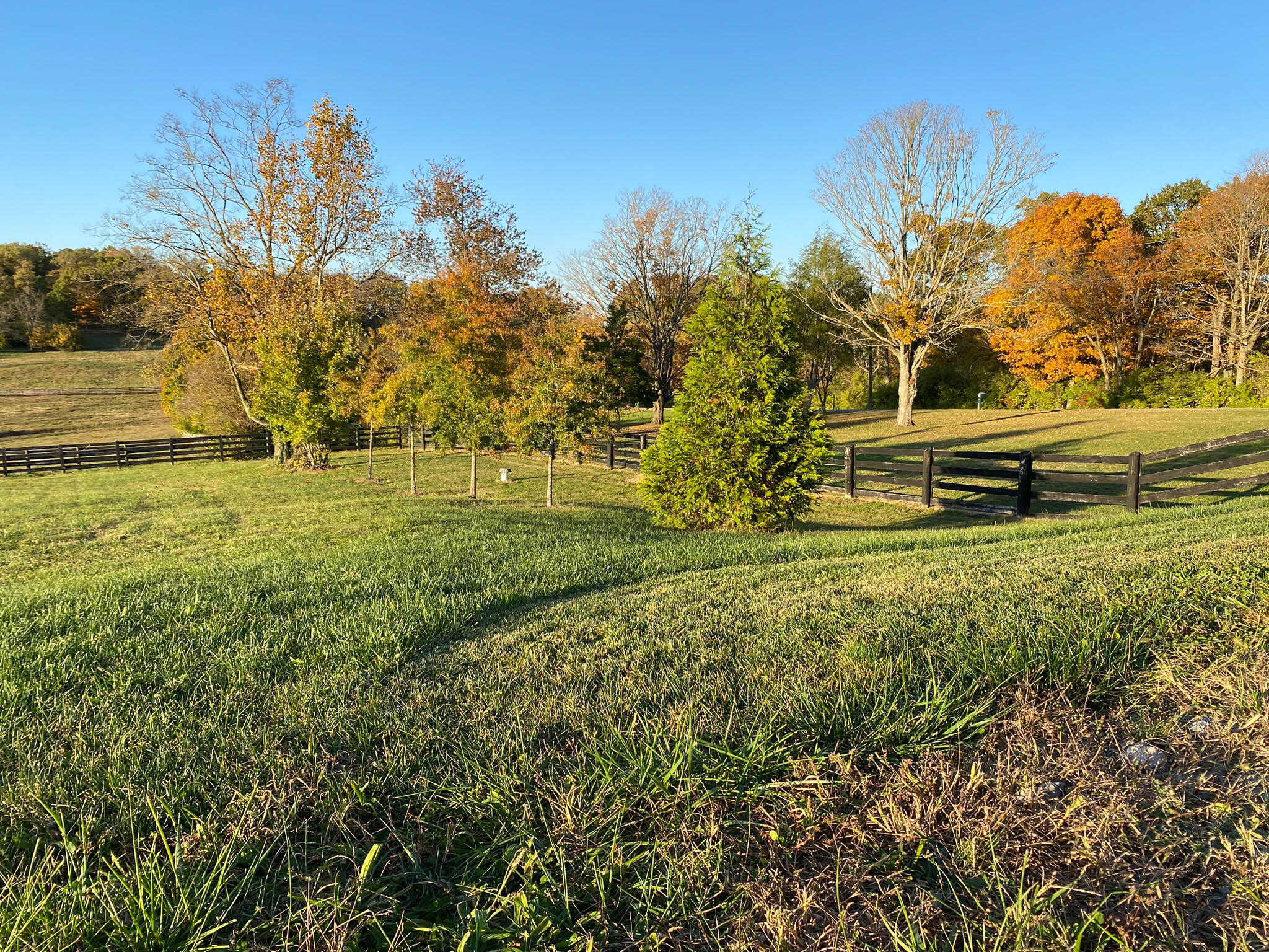 2425 Handys Bend Road Wilmore, KY 40390 - Photo 23 of 44 Handys Bend Edited (5 of 48)