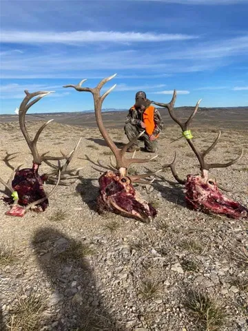 $2,800,000 | 19 Maybell Co 81640, Maybell, CO 81640