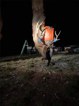 $2,500,000 | 19 Maybell Co 81640, Maybell, CO 81640