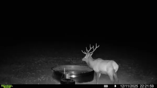 a vase of flowers sitting on a table
