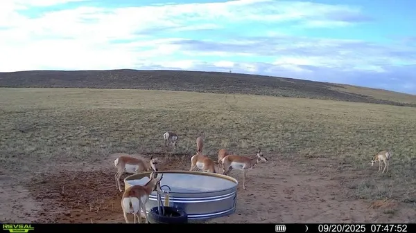 a view of a balcony with an outdoor space