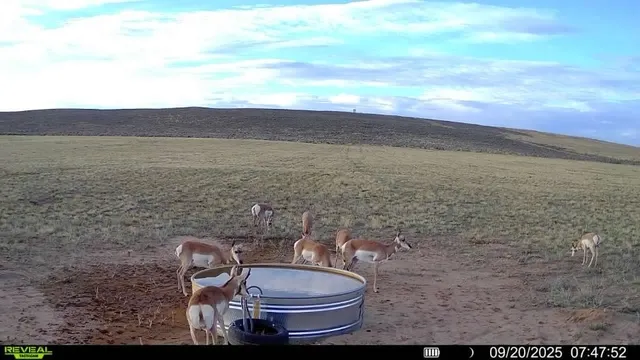 a view of a balcony with an outdoor space