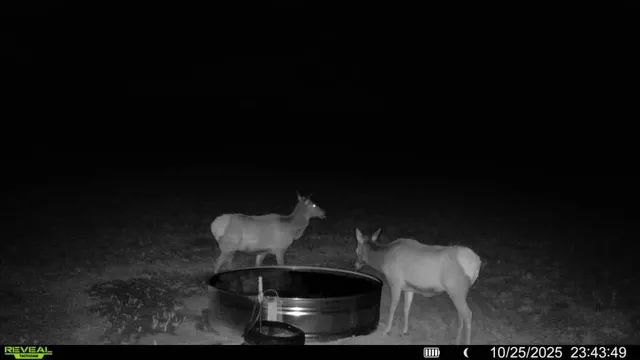 a view of an ocean beach
