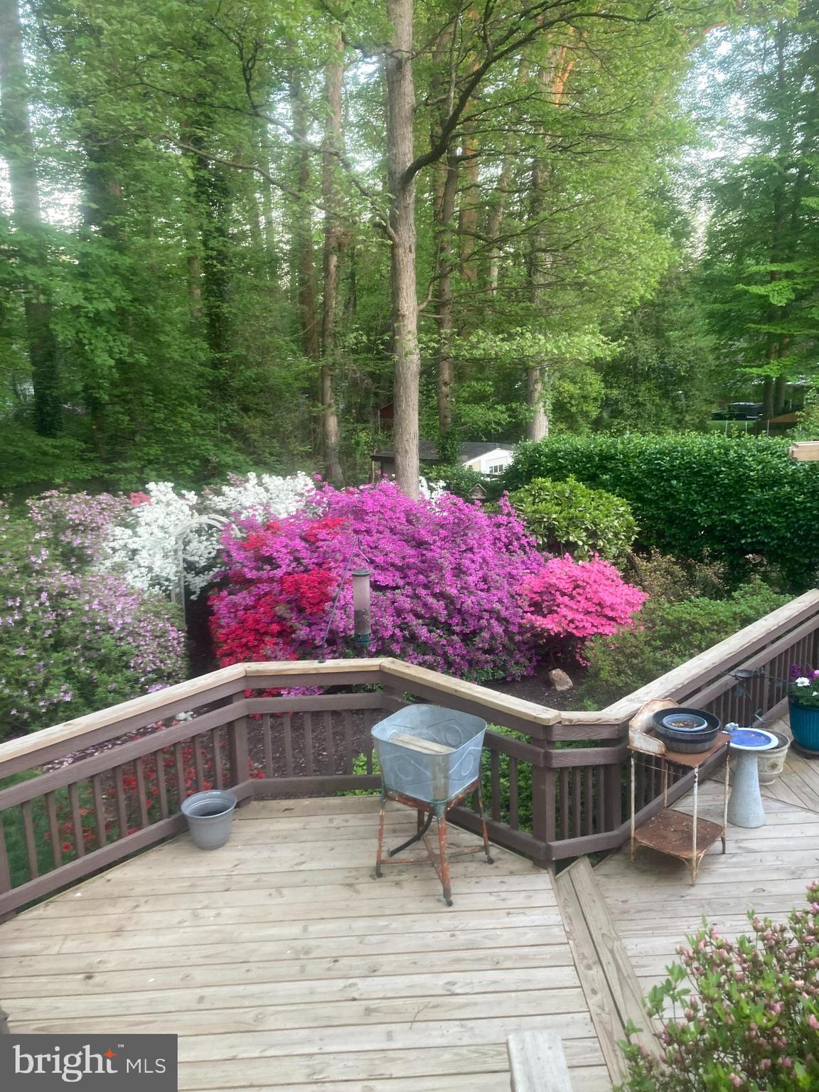 5513 Sedgwick Lane Springfield, VA 22151 - Photo 27 of 32 Gallery Image 27