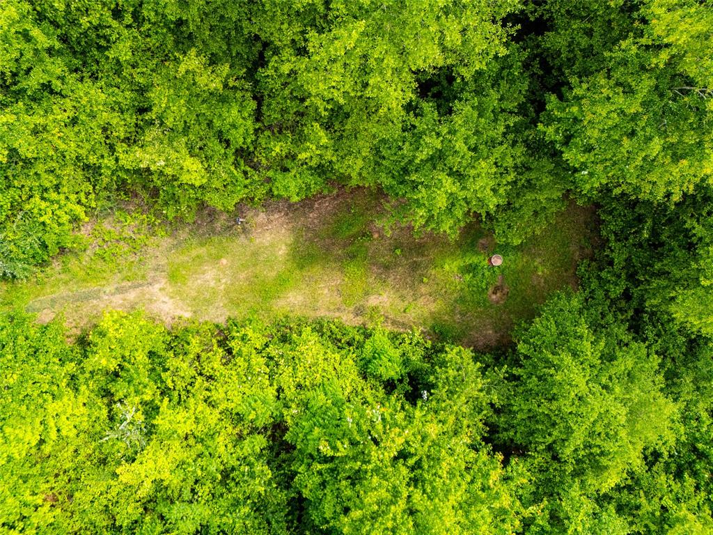 Tbd White Oak Road Big Sandy, TX 75755 - Photo 14 of 24
