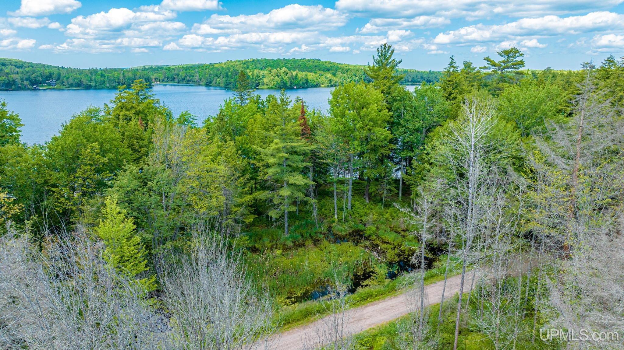 Tbd Tbd En-a-wen-da-win Road Watersmeet, MI 49969 - Photo 31 of 35