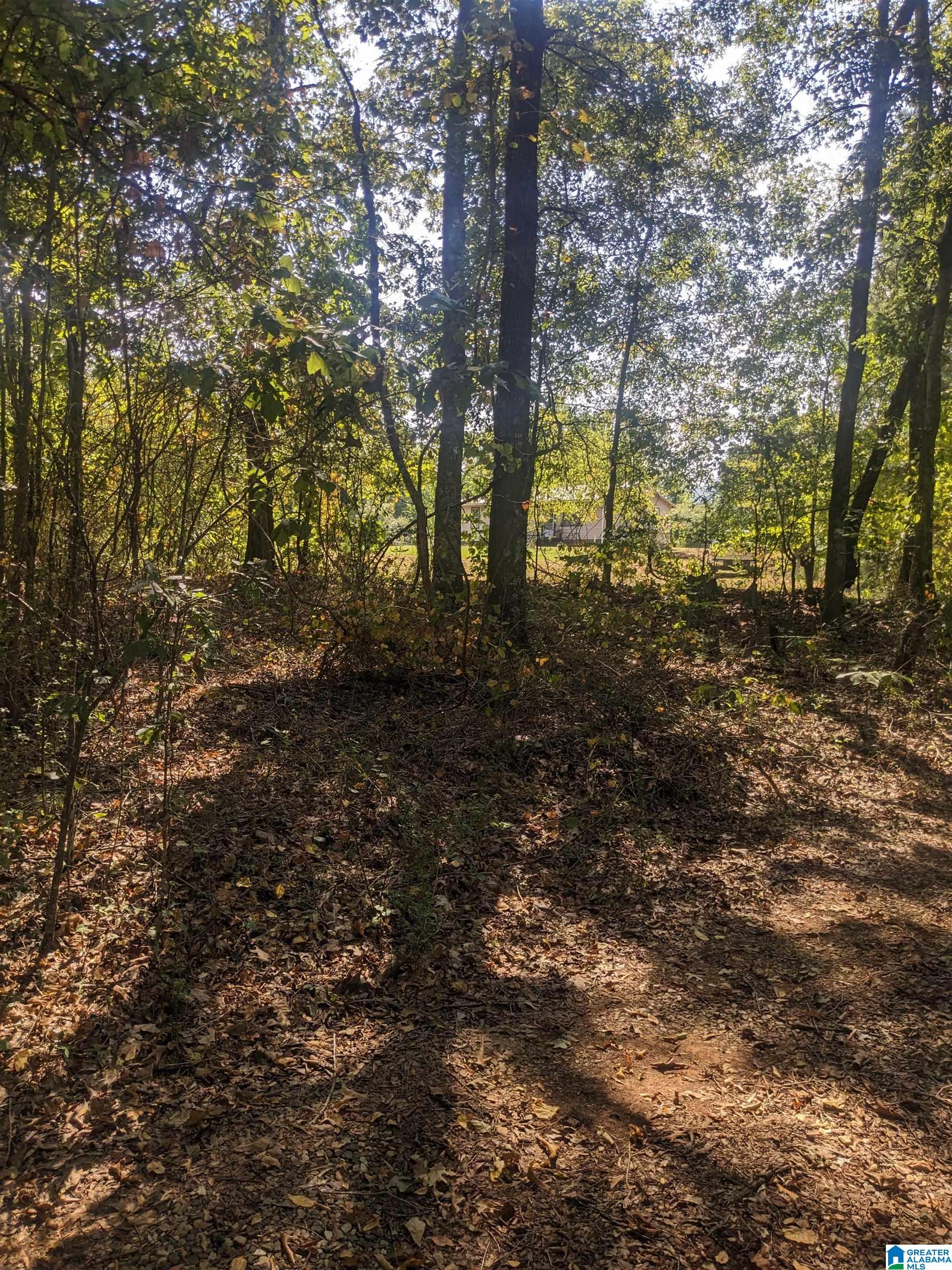 908 Antioch Road Anniston, AL 36207 - Photo 1 of 15