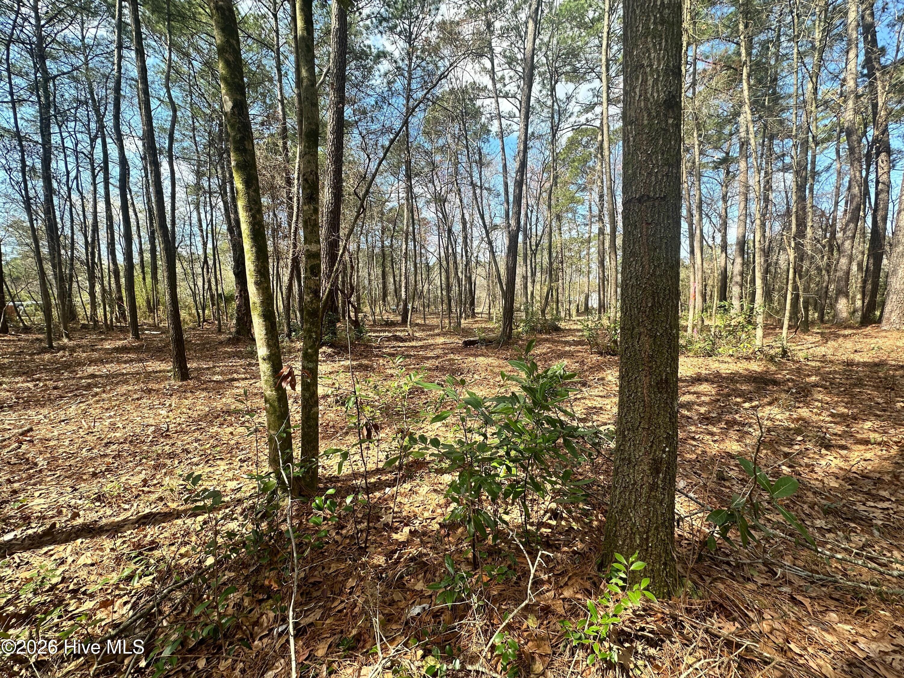 257 Fire Tower Road Richlands, NC 28574 - Photo 3 of 4 IMG_4874