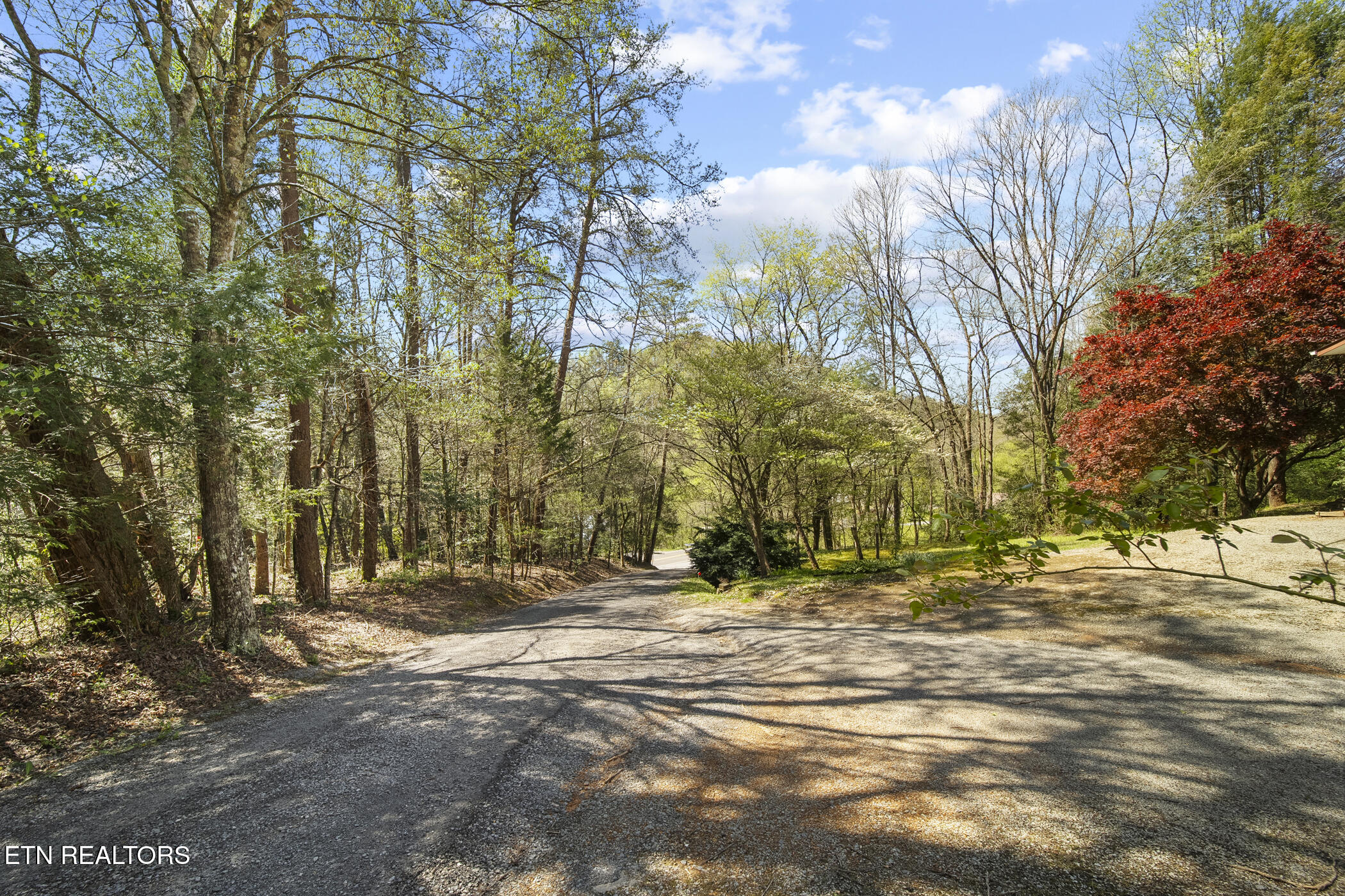 1615 Upper Middle Creek Road Sevierville, TN 37876 - Photo 7 of 24 dsc04758