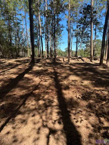 $24,900 | 0 Johnny Martin Road, Franklinton, LA 70438