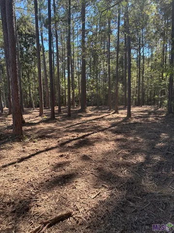 $24,900 | 0 Johnny Martin Road, Franklinton, LA 70438