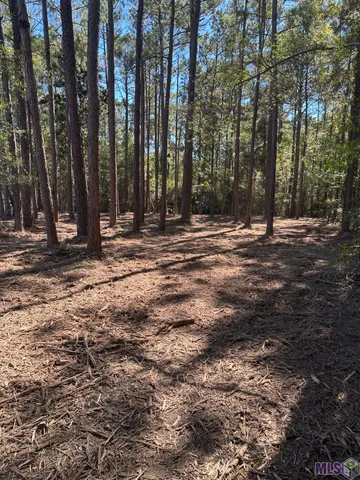 $24,900 | 0 Johnny Martin Road, Franklinton, LA 70438