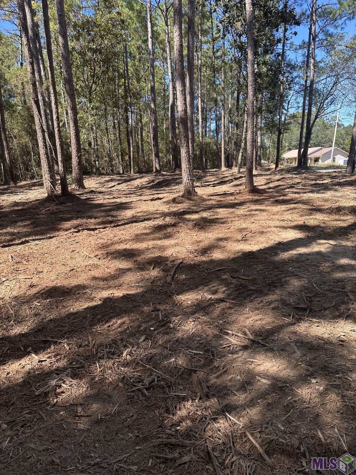 0 Johnny Martin Road Franklinton, LA 70438 - Photo 4 of 7 Gallery Image 4