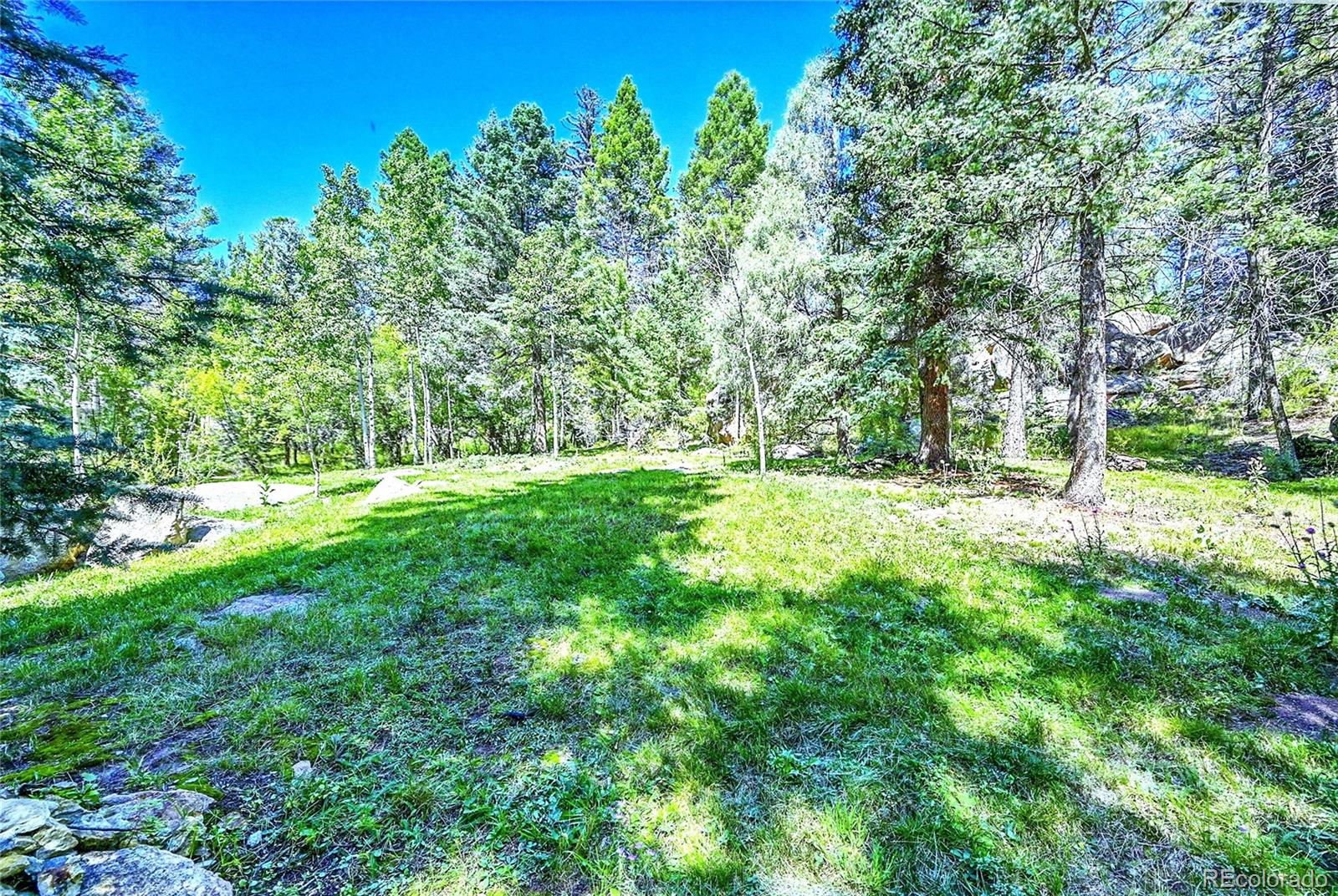 30997 Witteman Road Conifer, CO 80433 - Photo 30 of 39 a view of green field with trees in the background