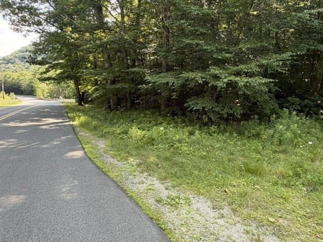 0 Zoar Road Rowe, MA 01367 - Photo 5 of 25 Gallery Image 5