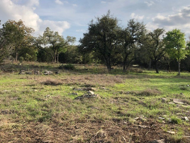 541 Rough Hollow Road Johnson City, TX 78636 - Photo 25 of 30 Gallery Image 25