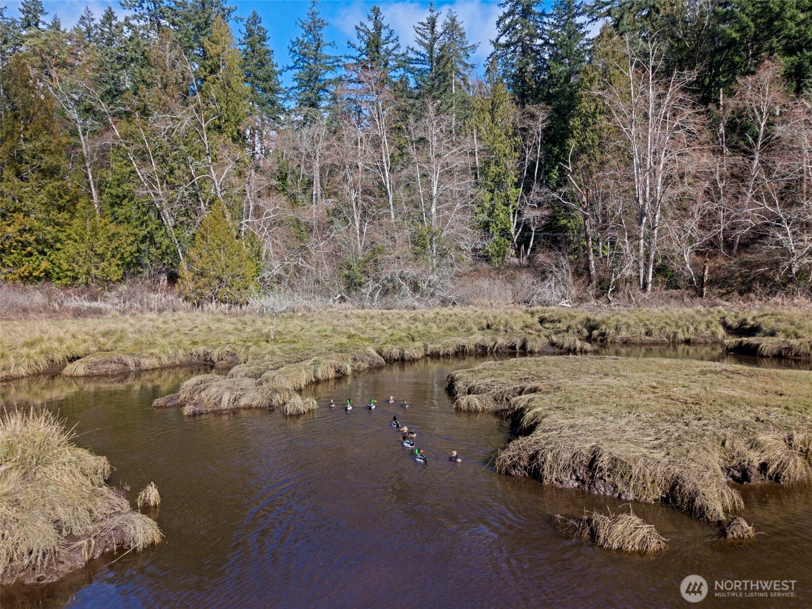 0 Olalla Valley Road Southeast Olalla, WA 98359 - Photo 4 of 14