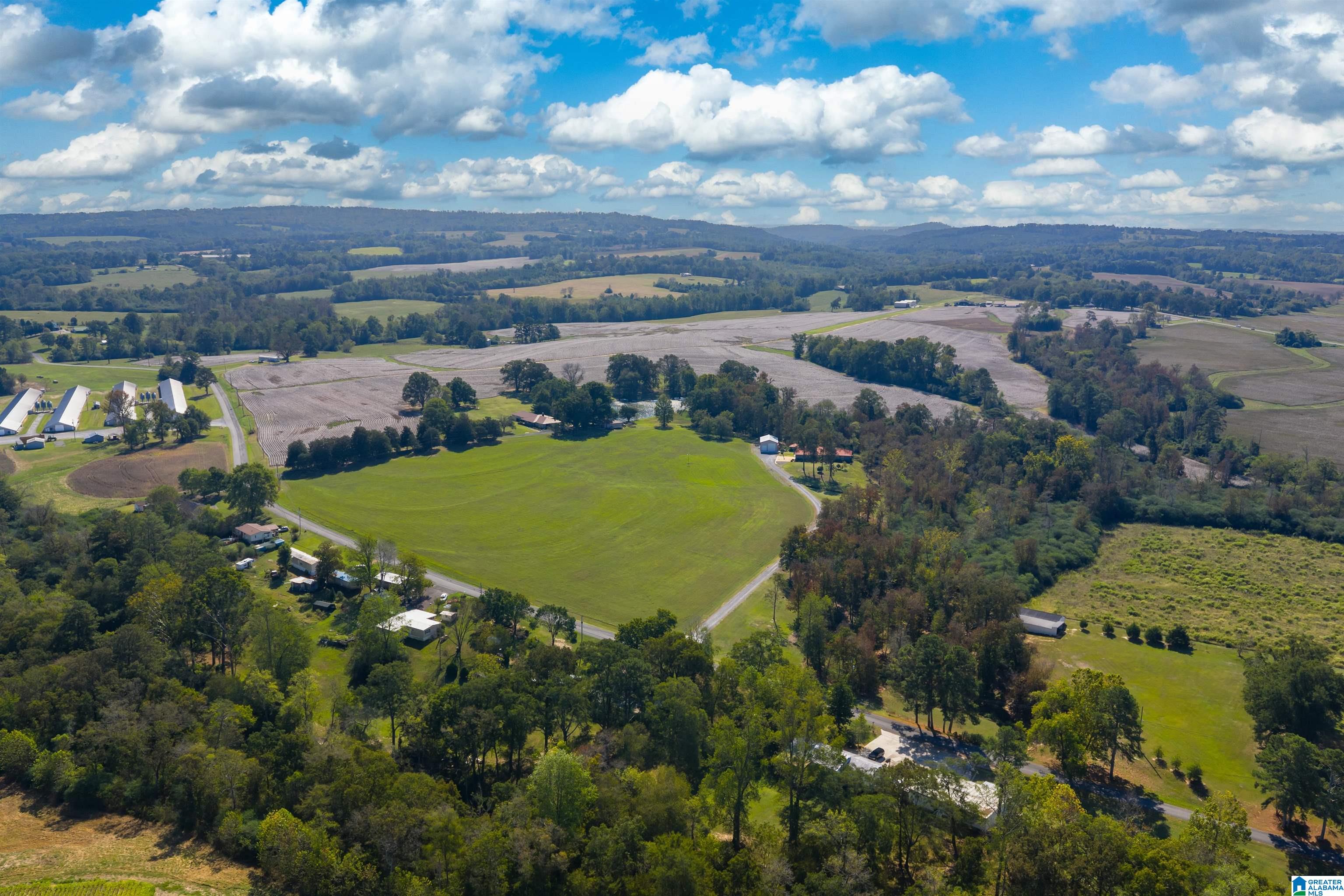 244 Mount Carmel Road Guntersville, AL 35976 - Photo 50 of 58
