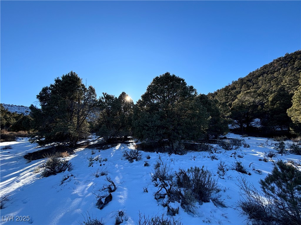 P-18 Butte Valley Ely, NV 89301 - Photo 2 of 3