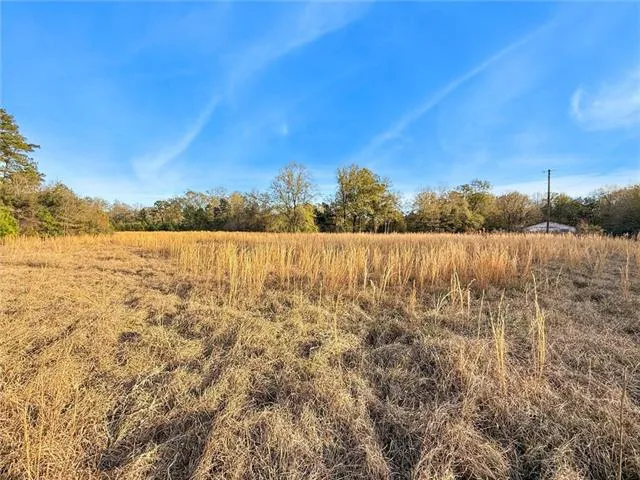 $225,000 | 17142 Parker Lane, Hammond, LA 70403