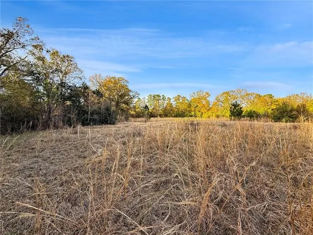 $225,000 | 17142 Parker Lane, Hammond, LA 70403