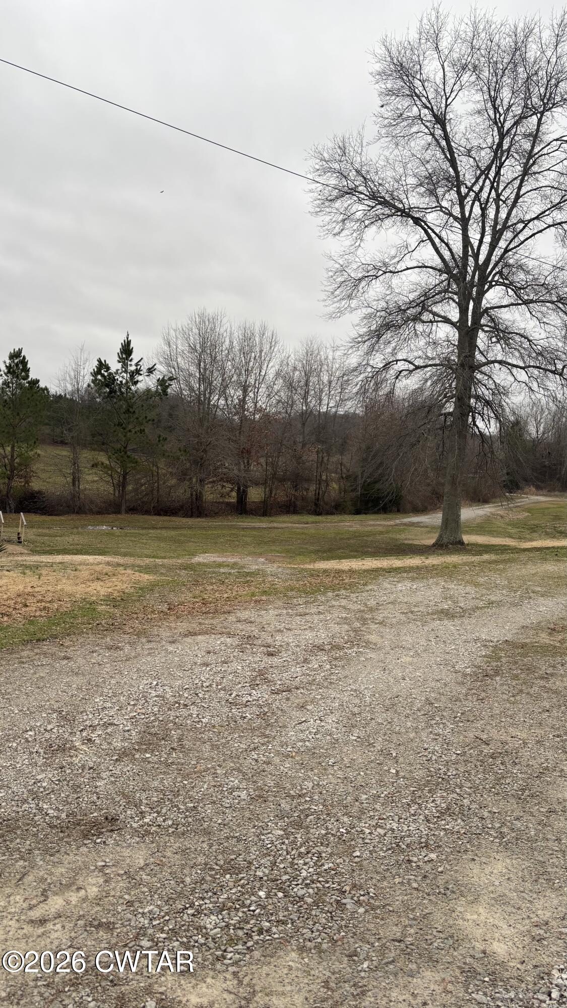 119 Casey Road Pinson, TN 38366 - Photo 2 of 10 a view of a yard