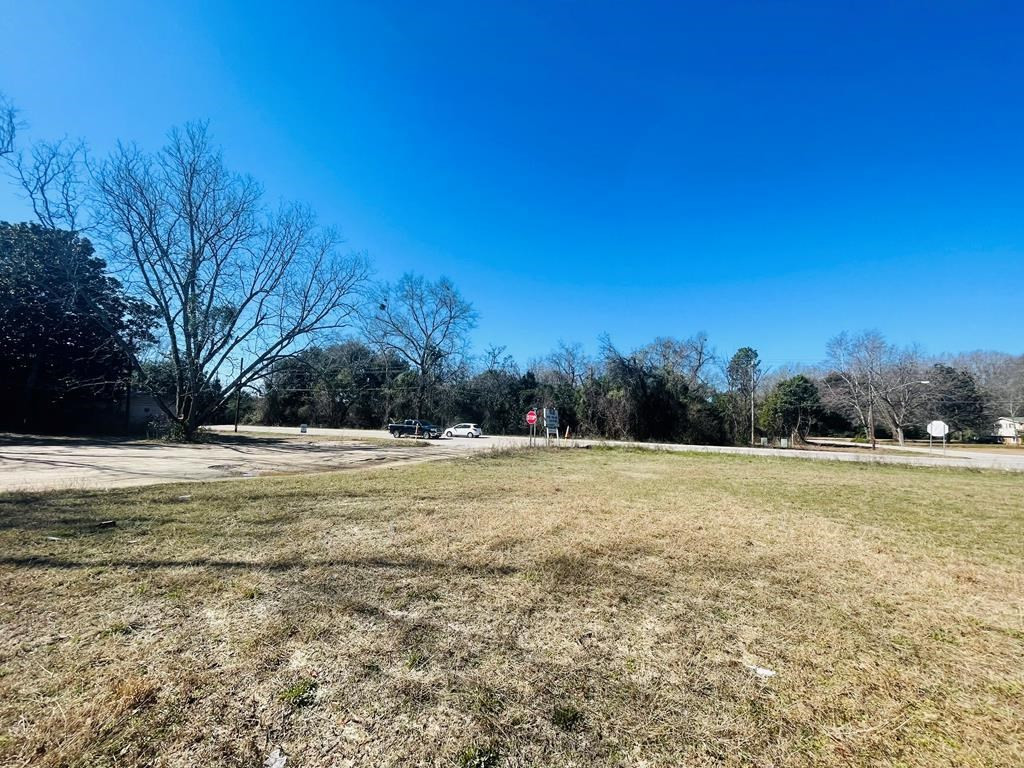1531 Peach Orchard Road Sumter, SC 29154 - Photo 4 of 9