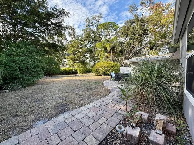 a view of a yard with plants and trees