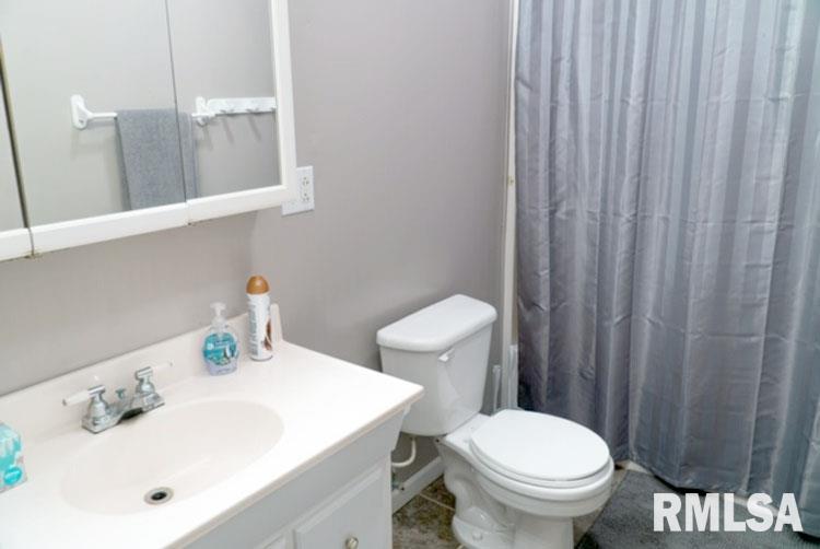 1264 Lakeview Road South Dahinda, IL 61428 - Photo 10 of 20 Gallery Image 10