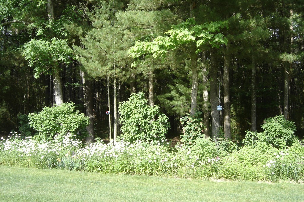 90 Tall Pines Road, Unit 90 Hampden, MA 01036 - Photo 8 of 8 Gallery Image 8