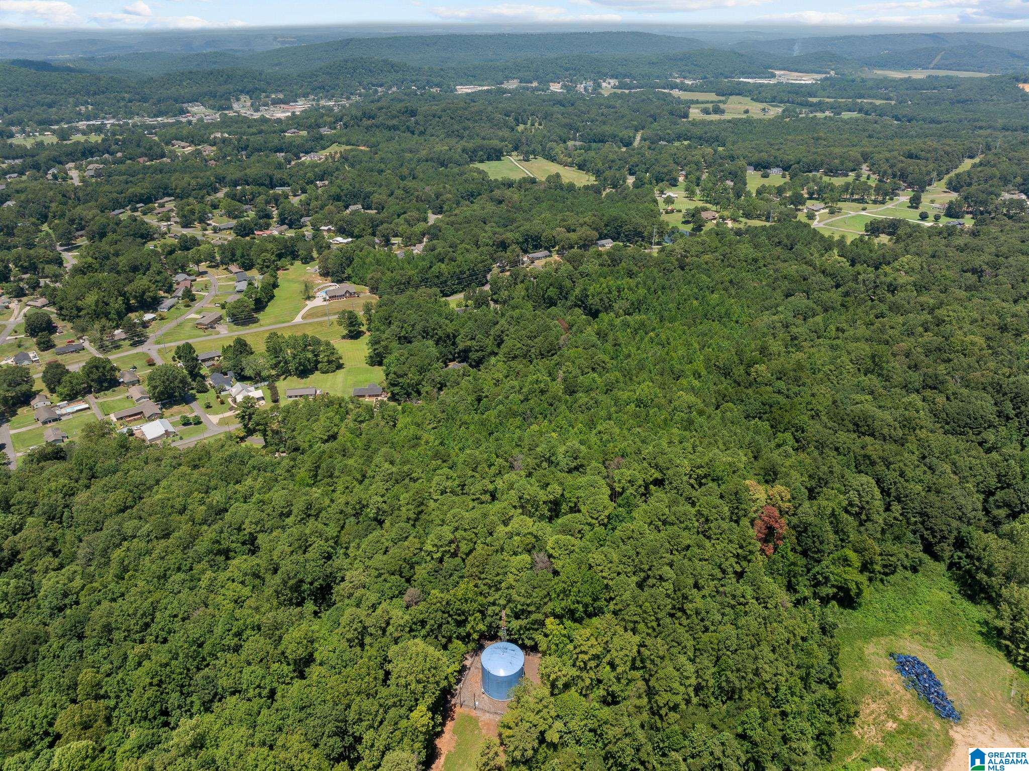 0 Sunshine Avenue Oneonta, AL 35121 - Photo 8 of 21