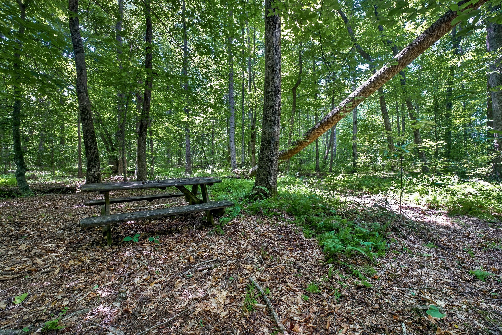 2025 Old Bonair Road Sparta, TN 38583 - Photo 48 of 72