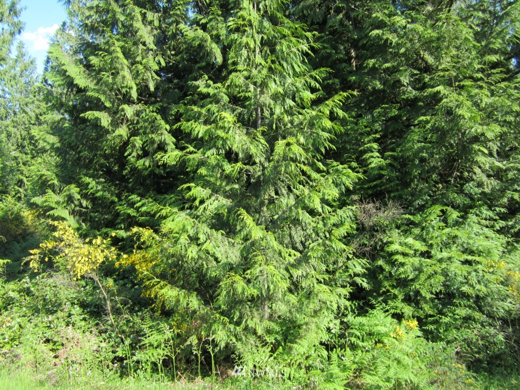 2995 Southwest Lake Flora Road Port Orchard, WA 98367 - Photo 1 of 1 Gallery Image 1