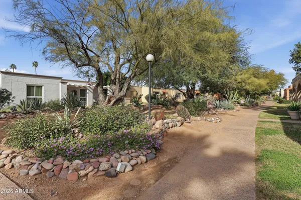 a view of a house with a yard and potted plants