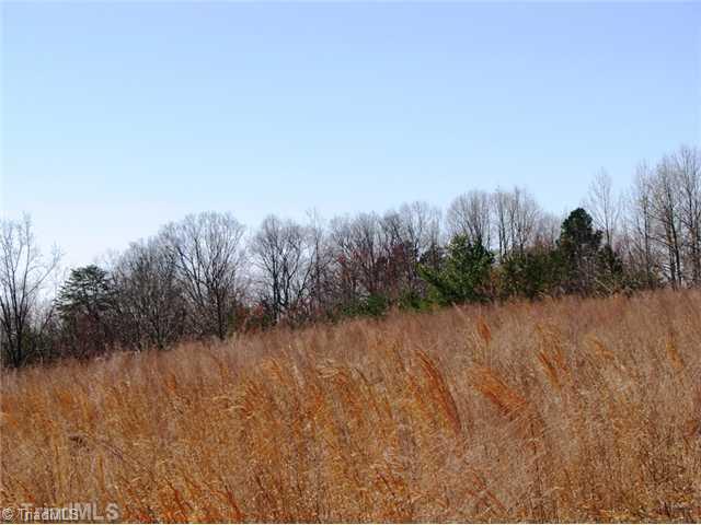 0 Bolejack Road Germanton, NC 27019 - Photo 2 of 9 Land/Lot.