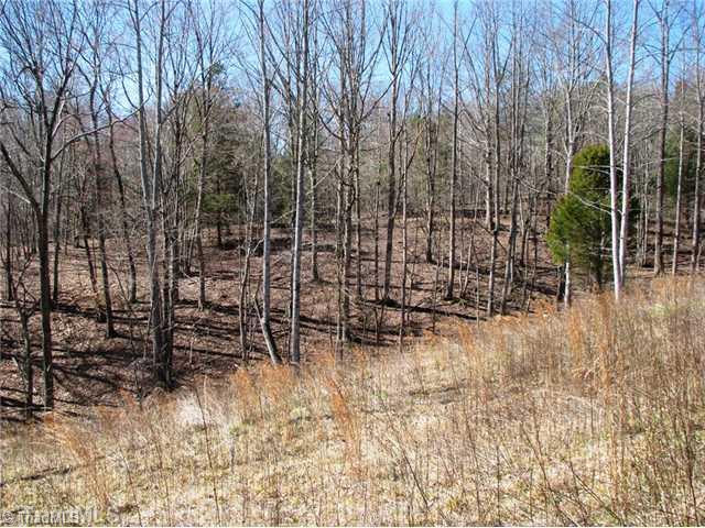 0 Bolejack Road Germanton, NC 27019 - Photo 3 of 9 Land/Lot.