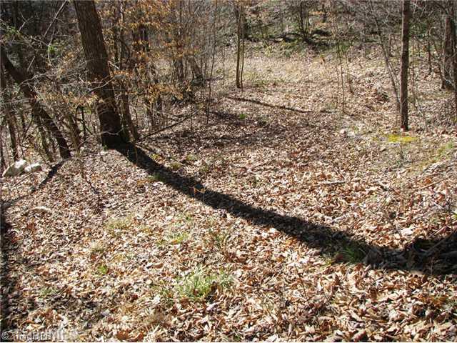 0 Bolejack Road Germanton, NC 27019 - Photo 4 of 9 Land/Lot.