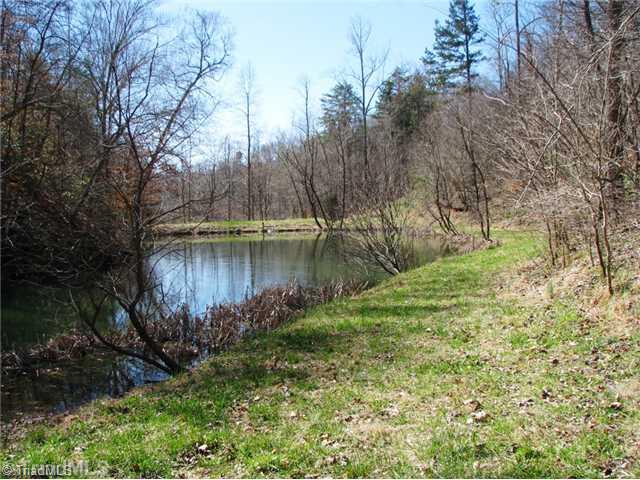 0 Bolejack Road Germanton, NC 27019 - Photo 5 of 9 Land/Lot.