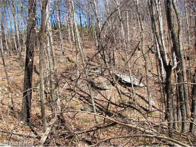 0 Bolejack Road Germanton, NC 27019 - Photo 6 of 9 Land/Lot.